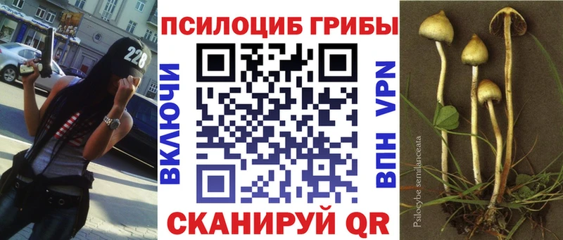 кракен ССЫЛКА  Свободный  Псилоцибиновые грибы мухоморы  закладка 