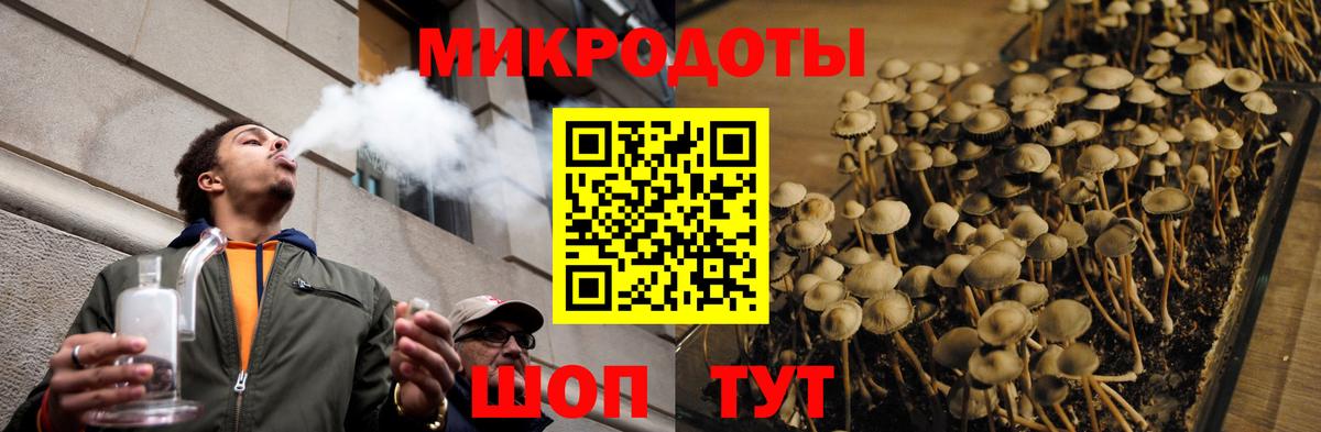 Свободный  Галлюциногенные грибы Magic Shrooms  Вход с VPN 