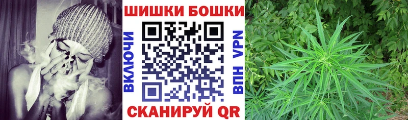 Бошки Шишки Amnesia как найти Свободный